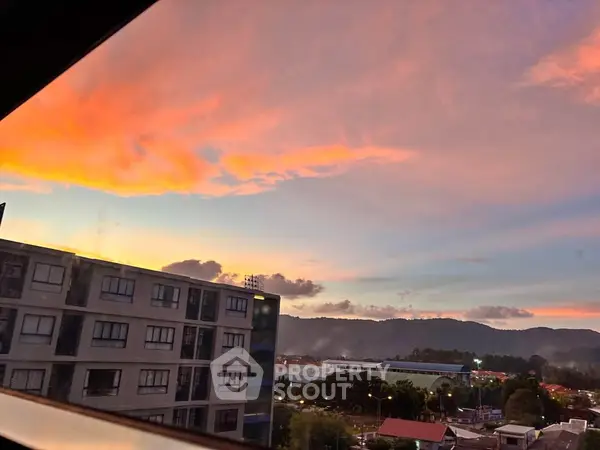 image_rental-29508526