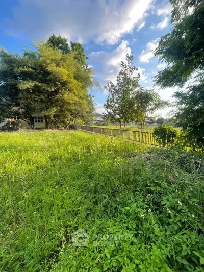 Spacious green garden with lush trees and clear blue sky, perfect for outdoor living.