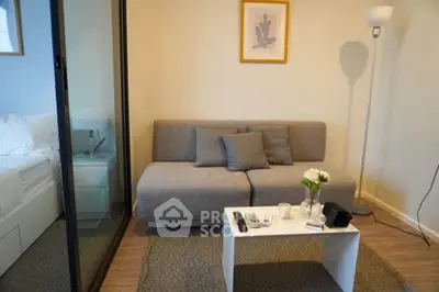 Cozy living room with modern gray sofa and stylish decor