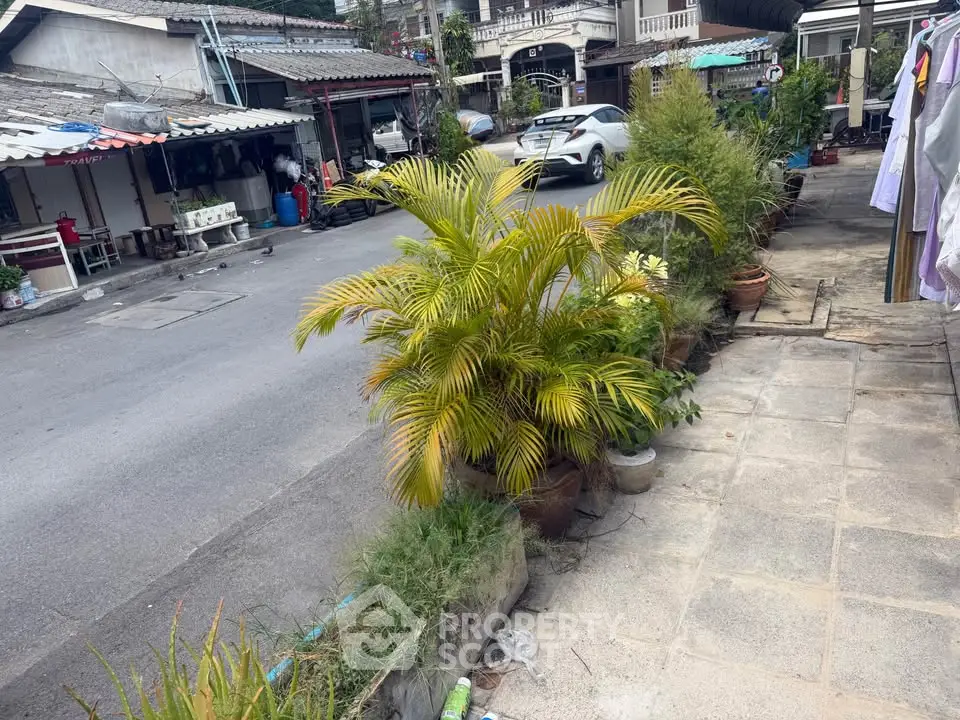 Charming street view with lush potted plants and residential buildings, perfect for urban living enthusiasts.