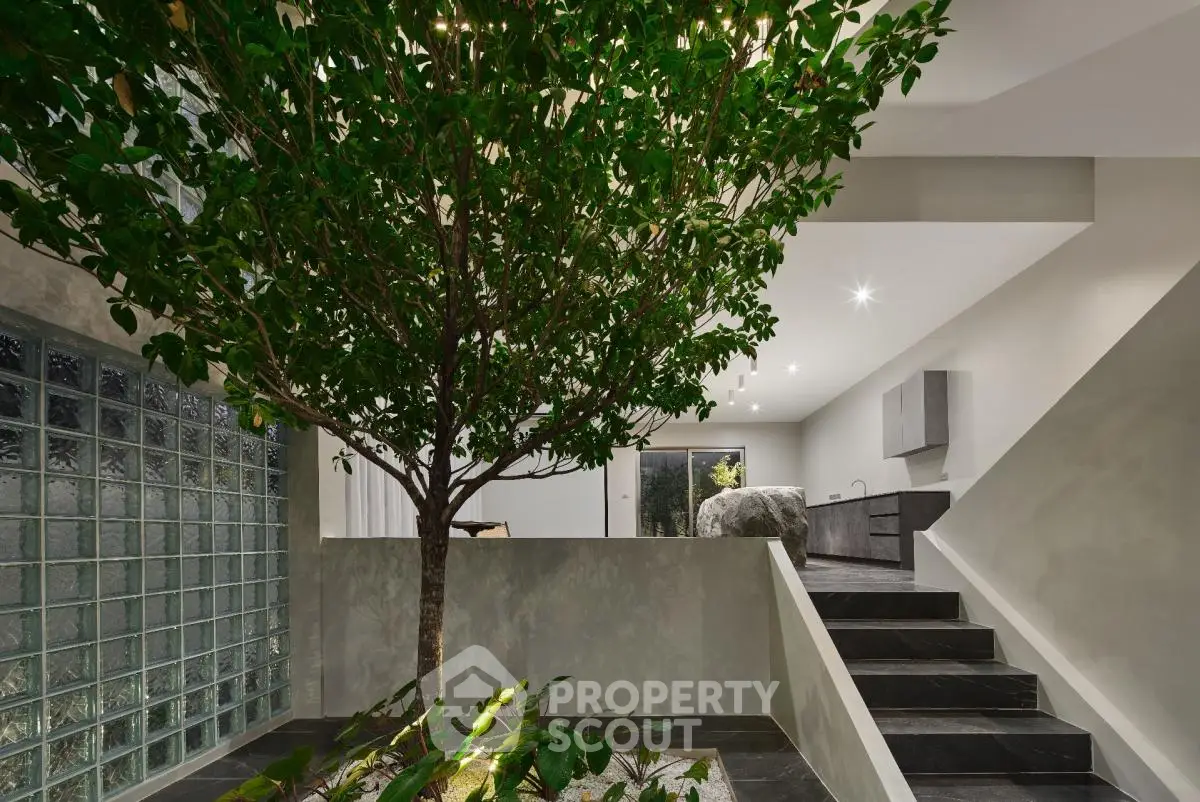 Modern interior with indoor tree and sleek staircase leading to open living space