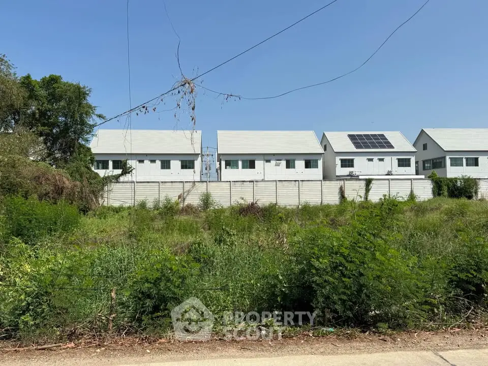 Modern white houses with solar panels in a serene green setting