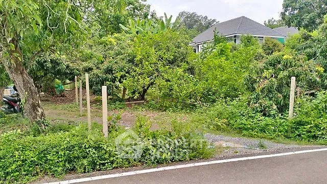 Charming suburban home surrounded by lush greenery and mature trees, offering a serene and private setting.