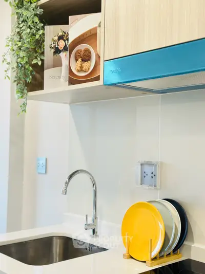 Modern kitchen with sleek design, featuring a stylish faucet, vibrant dish rack, and elegant cabinetry.