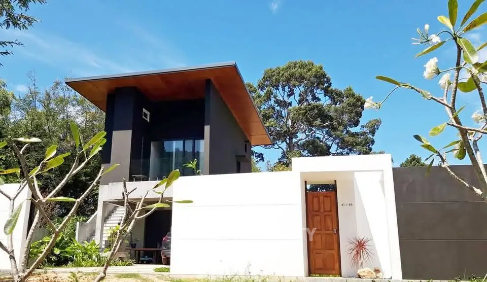 Modern architectural home with sleek design and lush greenery