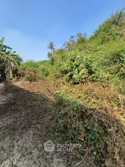 Lush green land for sale with potential for development, surrounded by nature.