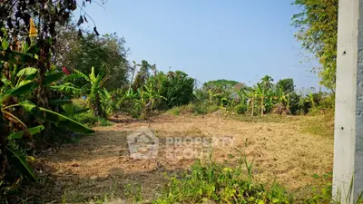 Spacious plot of land with lush greenery, perfect for development or agriculture.