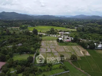 image_rental-27237874