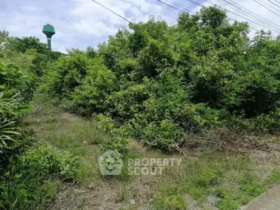 Lush green plot of land with potential for development, surrounded by nature and clear skies.