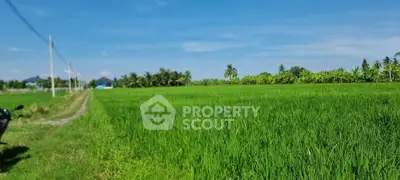 Expansive green field with clear blue sky, perfect for agricultural development or serene countryside living.