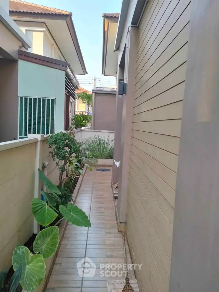 Charming narrow walkway between modern houses with lush greenery