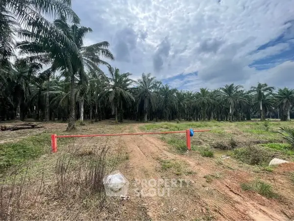 image_rental-28222708