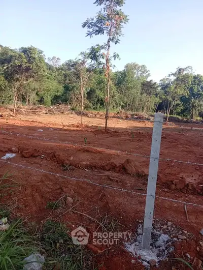 Prime land plot with lush greenery, ideal for development or investment opportunities.