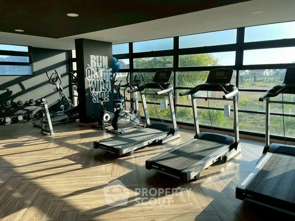 Modern gym with treadmills and weights in a sunlit room with large windows.