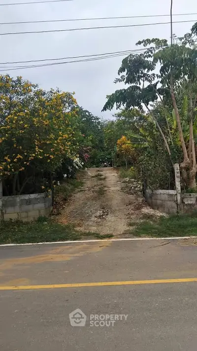 image_rental-29508834