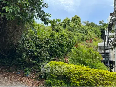 Lush greenery surrounding a modern building exterior, offering a serene and natural environment.