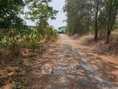 Scenic gravel driveway leading to a countryside property surrounded by lush greenery.