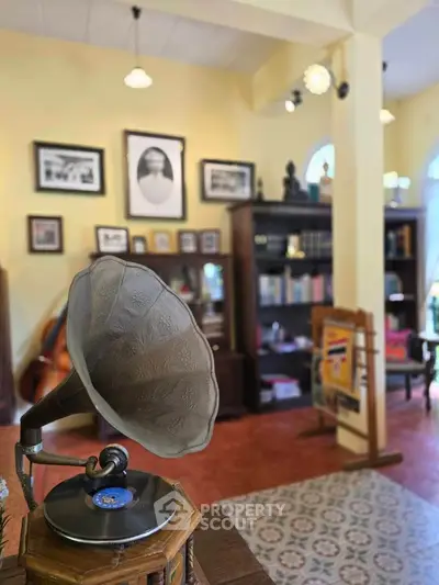 Charming vintage-themed living room with gramophone and classic decor