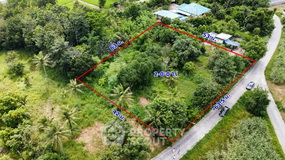 Prime land plot with lush greenery and road access, ideal for development or investment.