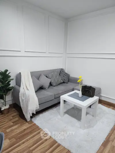 Chic modern living room with stylish gray sofa and cozy decor
