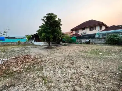 Spacious backyard with potential for landscaping in suburban home setting