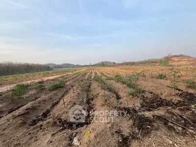 image_rental-31523306