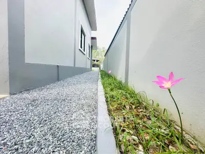 Charming exterior pathway with vibrant flowers beside modern building.