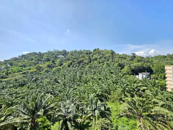 image_rental-30188490