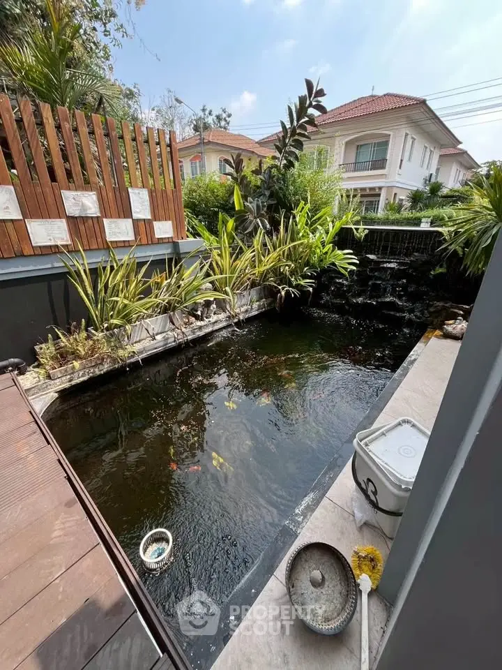 Charming garden pond with lush greenery in a residential backyard, perfect for relaxation.