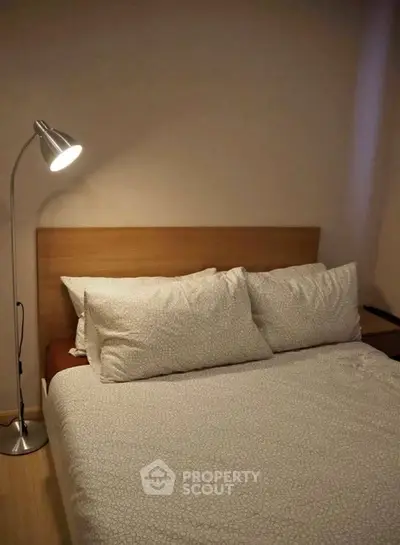 image_rental-30952857