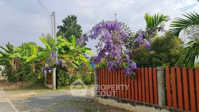 Charming garden with vibrant purple flowers and rustic fence in serene neighborhood.