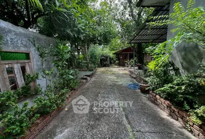 image_rental-29729199