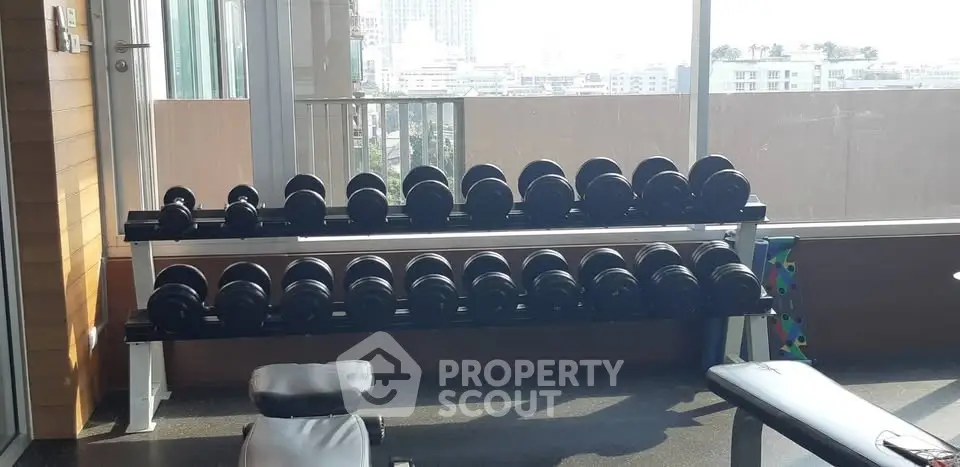 Modern gym with city view featuring a range of dumbbells and workout benches.