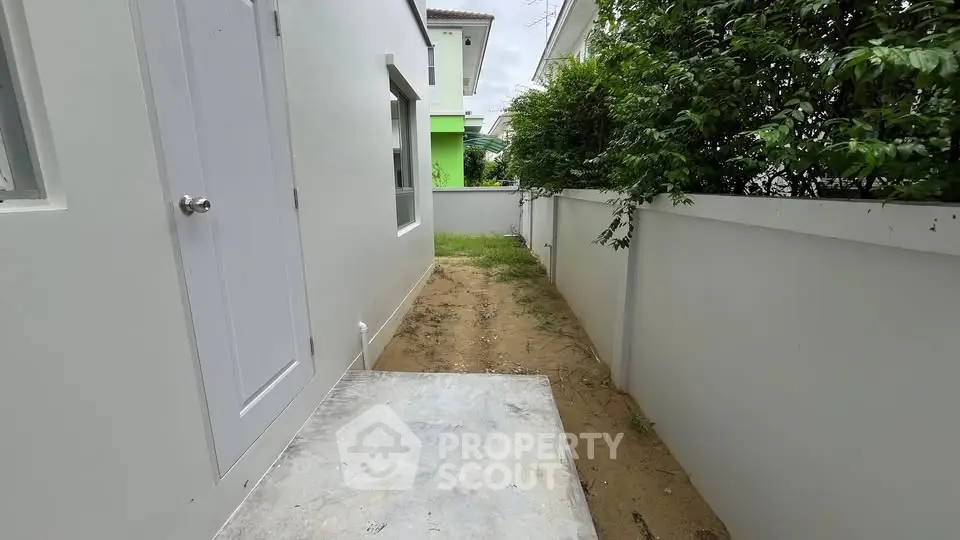 Narrow side garden with white walls and green foliage in modern home exterior