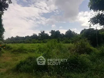 Expansive lush green land with clear skies, perfect for development or agriculture.