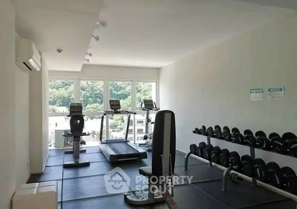 Modern gym with natural light and city view, featuring treadmills and weights.