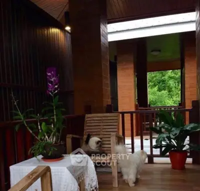 Charming wooden balcony with lush greenery and cozy seating area.