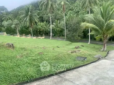 image_rental-29643266