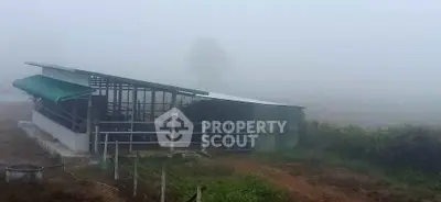 Foggy rural property with metal structure and greenery