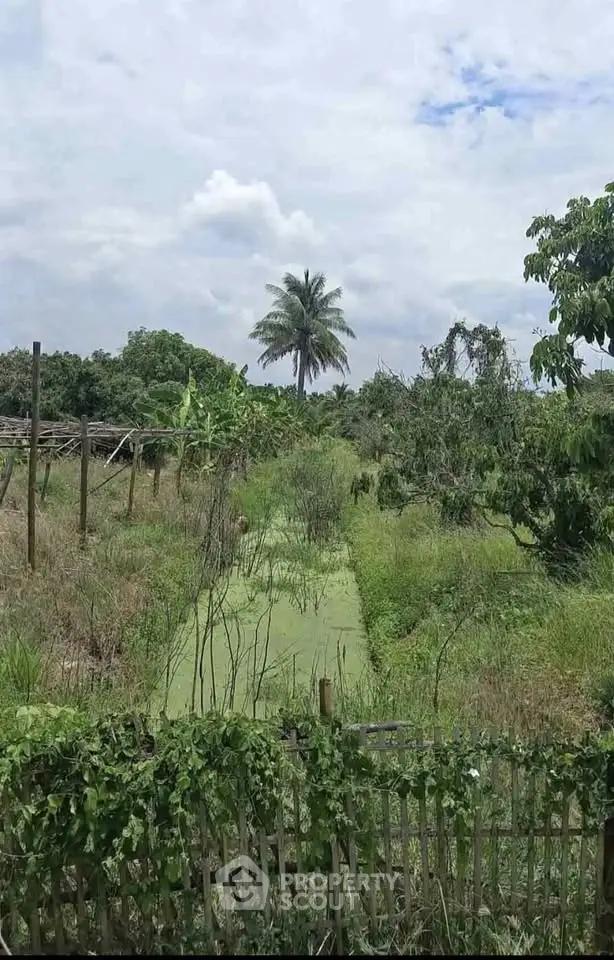 Lush green landscape with palm tree and rustic fence, perfect for serene real estate development.