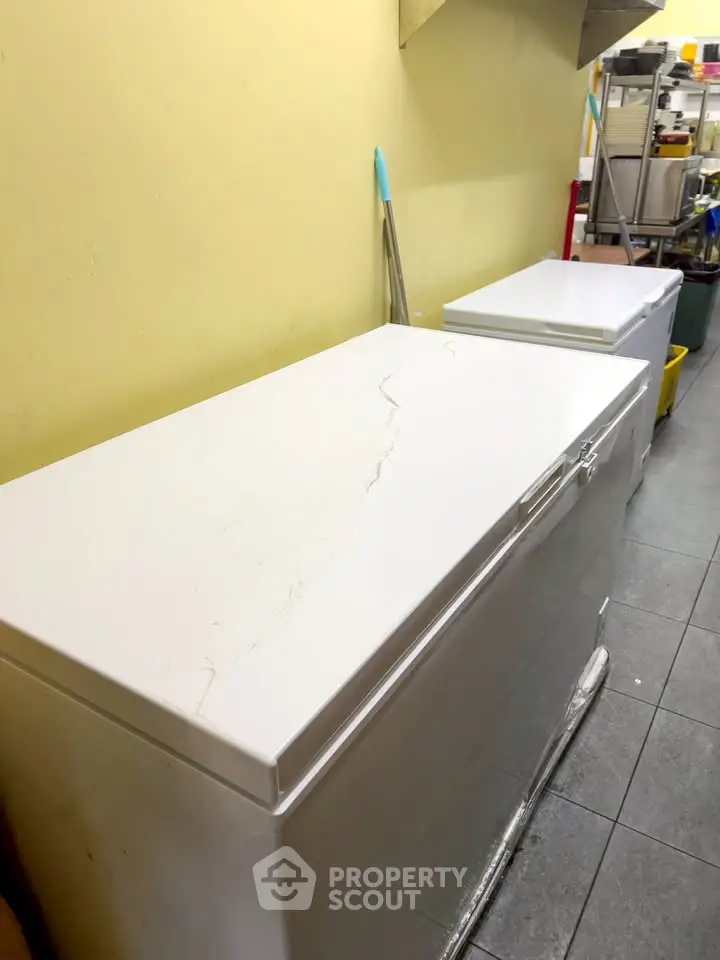 Spacious utility room with two large white freezers, ideal for storage needs.