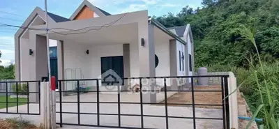 Modern single-story house with spacious driveway and lush greenery.