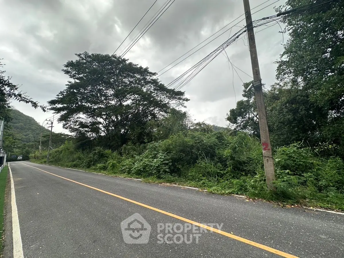 Scenic road view with lush greenery and towering trees, perfect for nature lovers seeking tranquility.