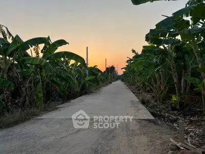 image_rental-31302759