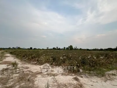 Expansive land with potential for development under a vast sky, ideal for investment opportunities.
