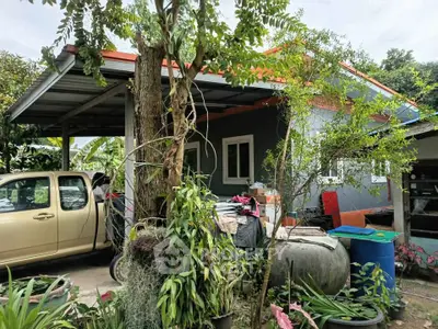 Charming suburban home with lush greenery and spacious carport.