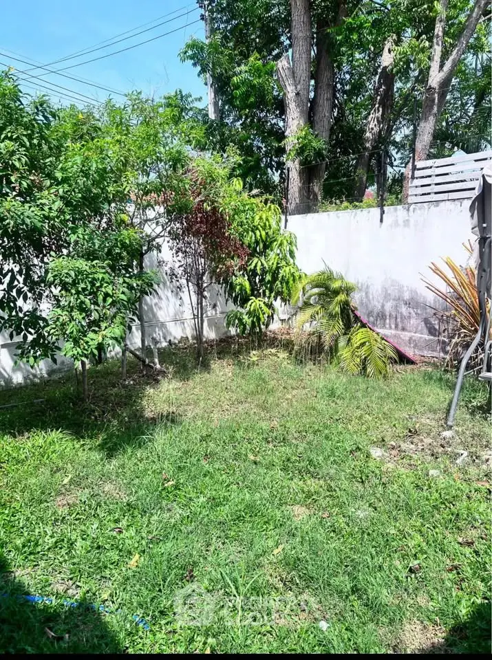 Charming backyard garden with lush greenery and privacy fence, perfect for relaxation and outdoor activities.