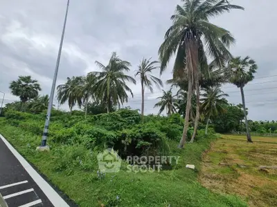 Lush green landscape with palm trees and open field, ideal for real estate development.