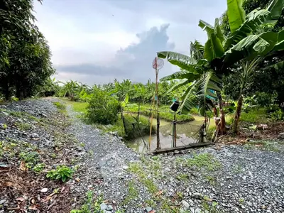 Lush tropical garden with banana trees and a serene pond, perfect for nature lovers seeking tranquility.