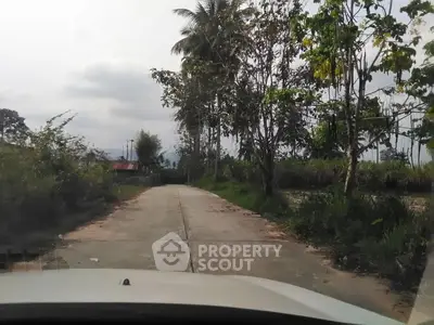 Scenic rural road with lush greenery and distant mountains
